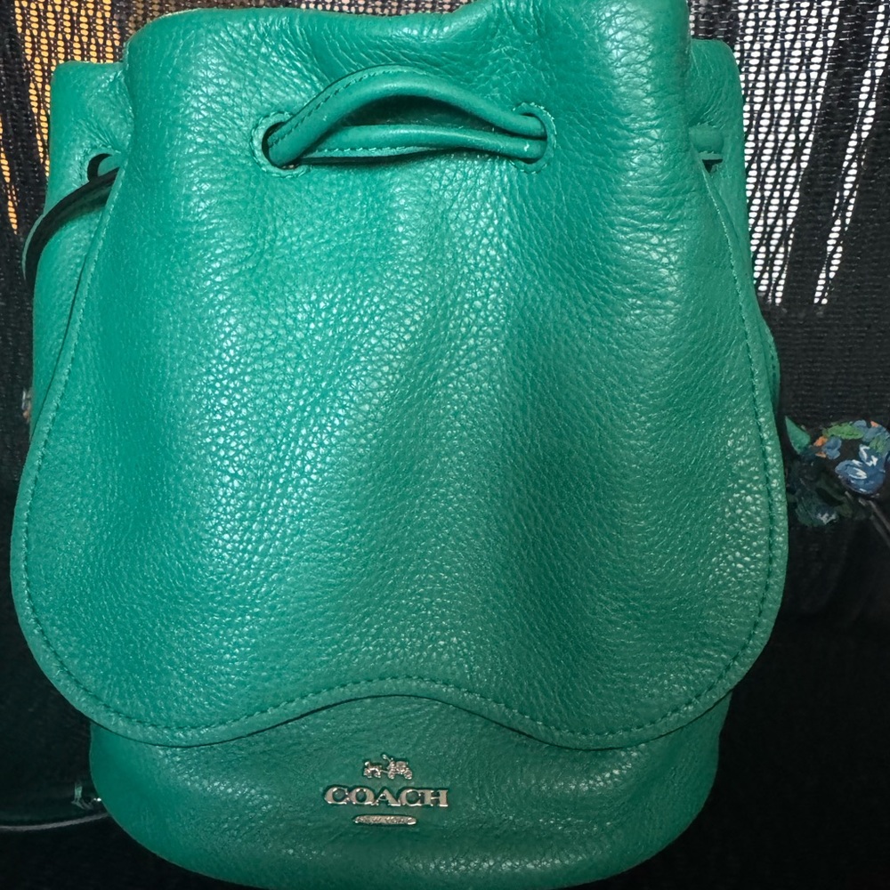 Coach Green Petal bag with pebble leather - Picture 4 of 8